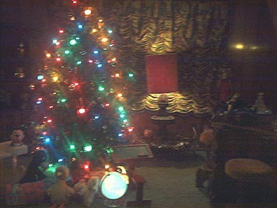 inside tree with Lisa Marie's old toys