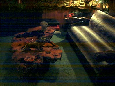 the famous jungle room